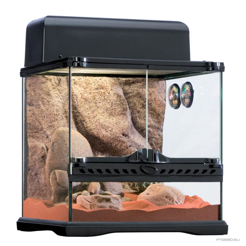 Exo Terra Habitat Kit Desert Small - Hilton, NY - Pet Friendly