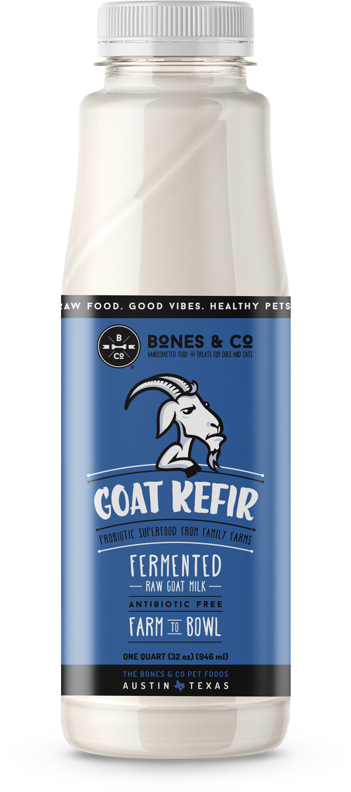 Kefir fashion for dogs benefits