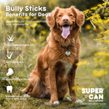 Supercan 6" Braided Bully Sticks (6")