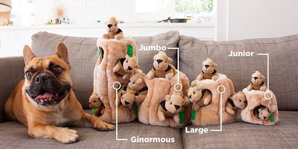 Outward Hound Hide A Squirrel Puzzle Dog Toy - Hilton, NY - Pet