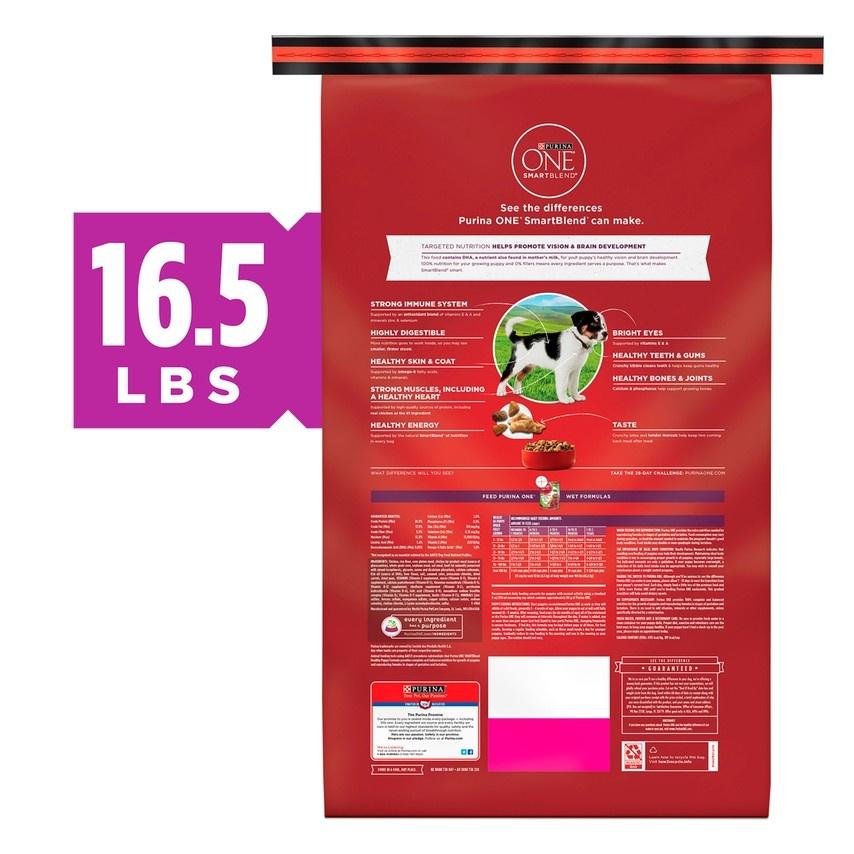 Purina ONE Healthy Puppy Chicken Recipe Dry Dog Food - Hilton, NY
