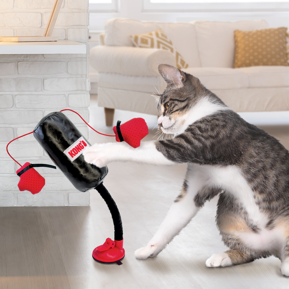Kong Connects Punching Bag - Hilton, NY - Pet Friendly Pickup