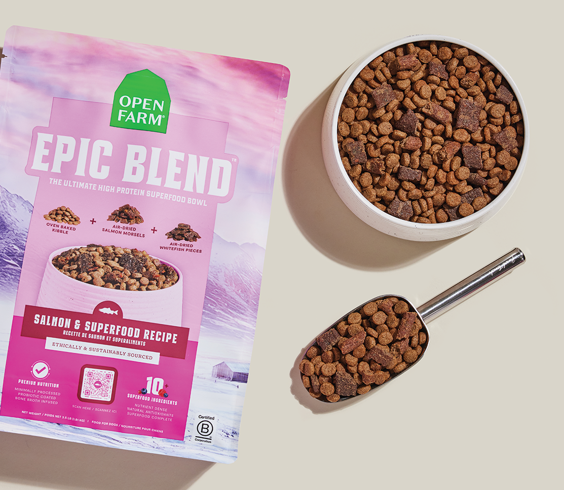 Open Farm Epic Blend Salmon & Superfood Dry Dog Food - Hilton, NY
