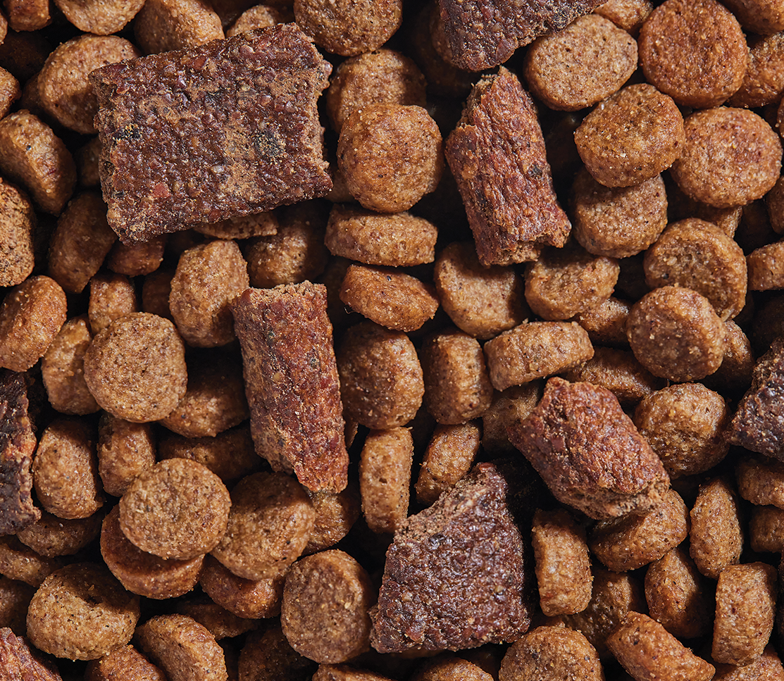 Open Farm Epic Blend Salmon & Superfood Dry Dog Food - Hilton, NY