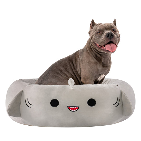 Shark hotsell dog bed