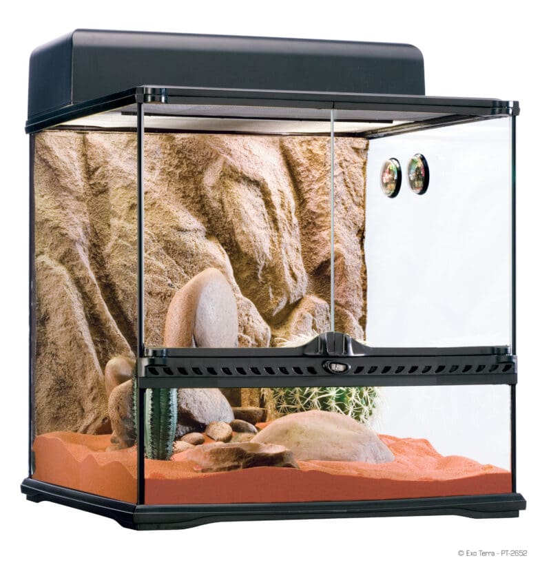 Exo terra terrarium shops kit