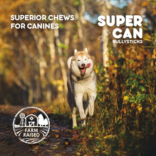 Supercan 12 Standard Bully Sticks (12)