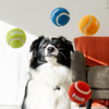 KONG Sport Softies Ball Assorted Dog Toy (Small)