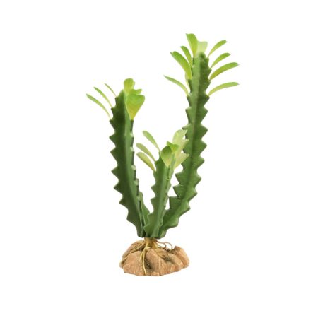 Zoo Med Desert Flora – Euphorbia