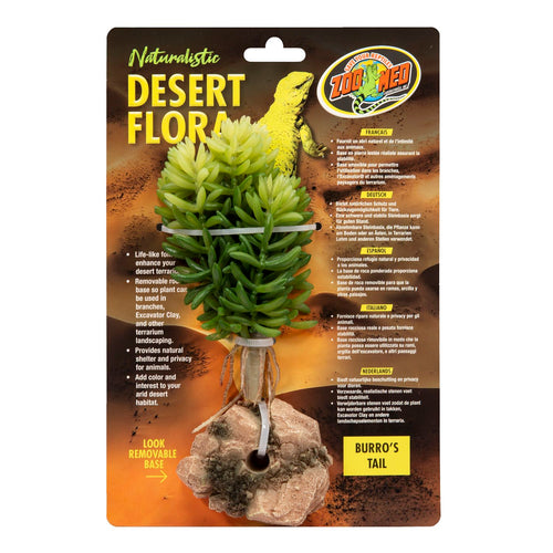 Zoo Med Desert Flora – Burro’s Tail (1 Count)