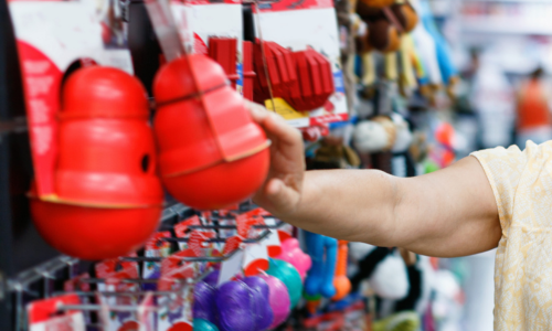 A close-up of dog toys and supplies on display inside of a store.