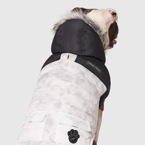 Canada Pooch Eco+ True North Parka Dog Jacket