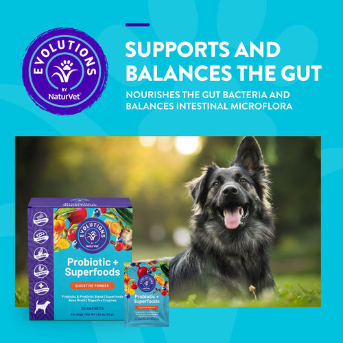 NaturVet Evolutions - Probiotic + Superfoods Sachet