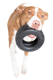 Mammoth TireBiter® Dog Toy