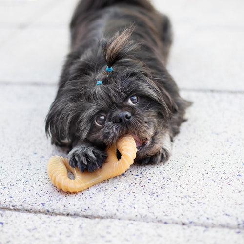 Benebone Chicken Dental Chew