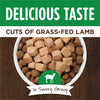 Nature's Variety Instinct Healthy Cravings Lamb Wet Dog Food Topper