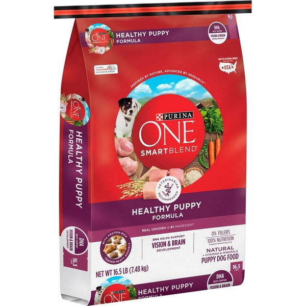Purina ONE Healthy Puppy Chicken Recipe Dry Dog Food Hilton, NY