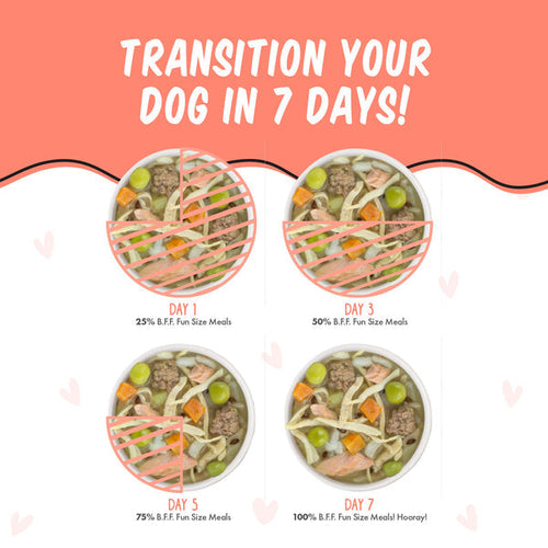 Weruva B.F.F. Fun Size Meals  We Be Jammin' with Chicken Breast, Rice, Pumpkin & Salmon