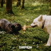 Canophera Coffee+Coco Chews