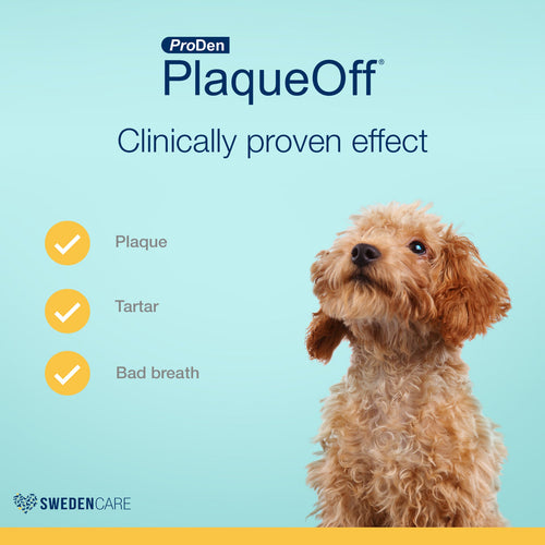 Proden PlaqueOff System® Dental Care Bones - Mint Fusion