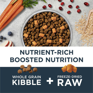 Instinct Raw Boost Whole Grain Gut Health Chicken Dry Dog Food