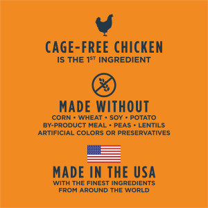 Instinct Raw Boost Whole Grain Gut Health Chicken Dry Dog Food