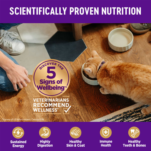 Wellness Complete Health Natural Adult Grain Free Deboned Chicken and Chicken Meal Dry Cat Food