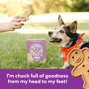 Cloud Star Buddy Biscuits Healthy Whole Grain Oven Baked Treats: Assorted Flavors