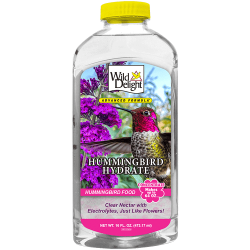 Wild Delight Hummingbird Hydrate Concentrate
