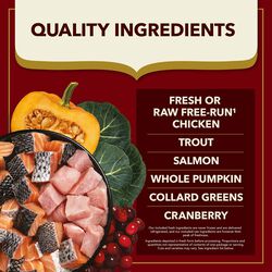 ACANA Market Medley, Indoor Cat Chicken, Trout & Salmon Recipe Dry Cat Food