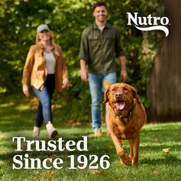 Nutro Natural Choice Adult Farm-Raised Chicken & Brown Rice Dry Dog Food
