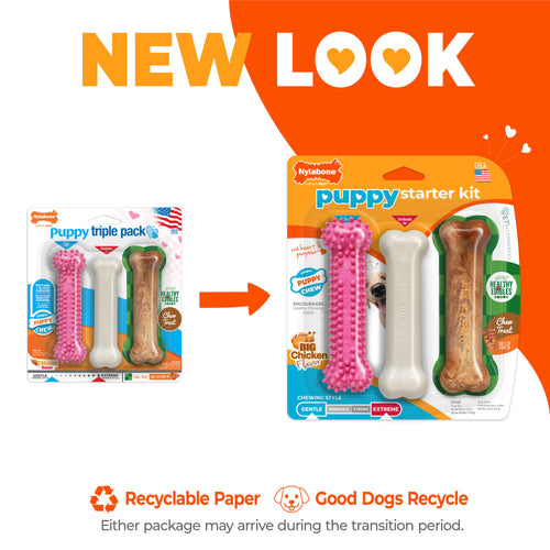 Nylabone Puppy Chew Starter Kit Chew Toy with Chew Treat