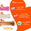 Nylabone Puppy Chew Starter Kit Chew Toy with Chew Treat