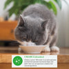 Inaba Dashi Delights Chicken with Tuna & Salmon Recipe Cat Treat