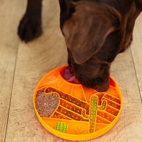 Messy Mutts Desert motif 8 Silicone Dog Lick Bowl Interactive Dog Bowl