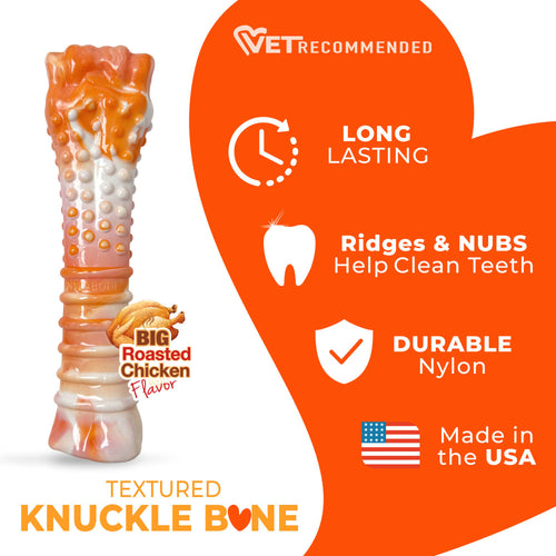 Nylabone Power Chew Textured Bone Dog Chew Toy 70th Birthday Orange Swirl