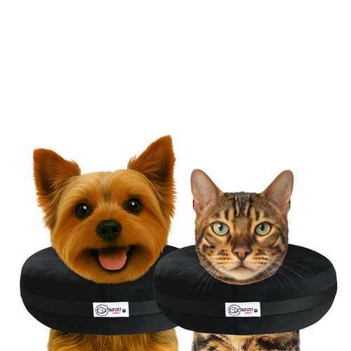Comfurt Collar Pet Recovery Collar Black