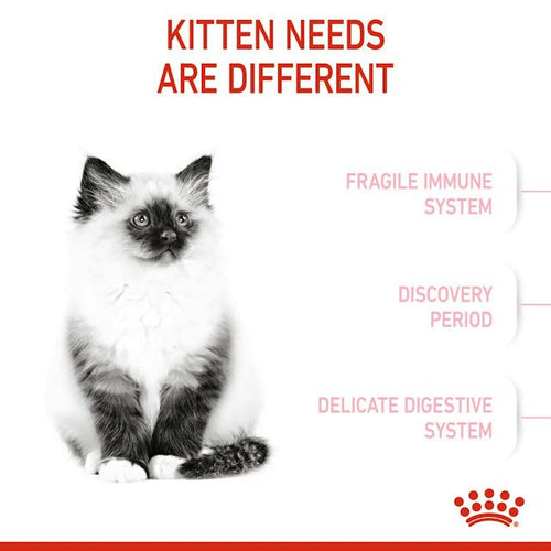 Royal Canin Feline Health Nutrition Kitten Dry Kitten Food