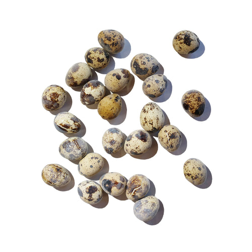 Savage Cat Dog Raw Quail Eggs (2.75 oz)