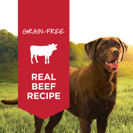 Nature's Variety Instinct Original Beef Wet Dog Food