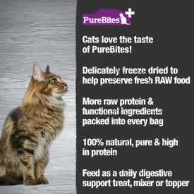 PureBites Gut & Digestion Cat Treats (1.09 oz)