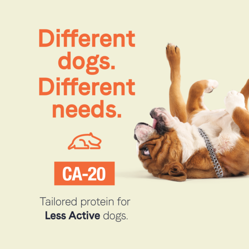 Canidae CA-20 Real Chicken with Wholesome Grains Recipe