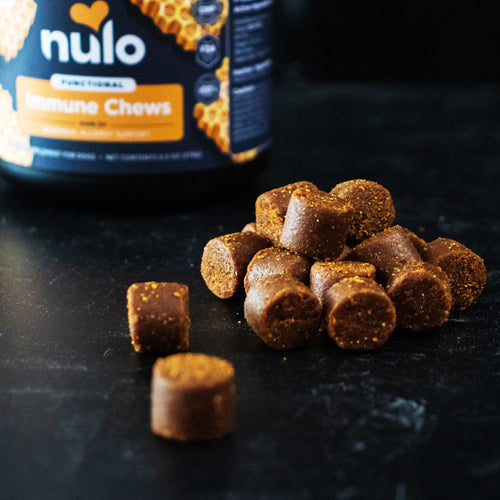 Nulo Functional Immune + Seasonal Allergy Support Soft Chew Supplements for Dogs