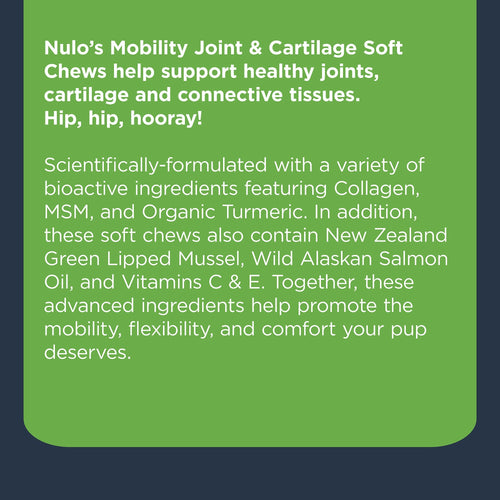 Nulo Functional Mobility Joint & Cartilage Soft Chew Supplement for Dogs