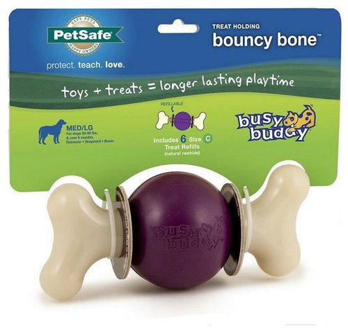 Busy buddy bristle bone refills best sale