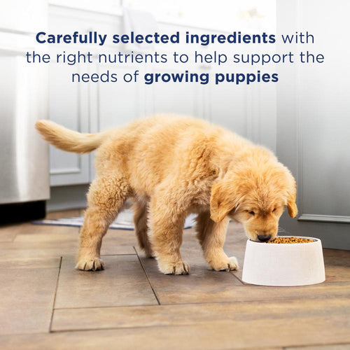 Natural Balance L.I.D. Limited Ingredient Diets Chicken & Brown Rice Puppy Formula Dry Dog Food