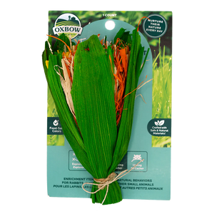 Oxbow Animal Health Enriched Life - Celebration Boquet (1  Count)
