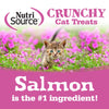 NutriSource® Crunchy Cat Salmon & Tuna Treats