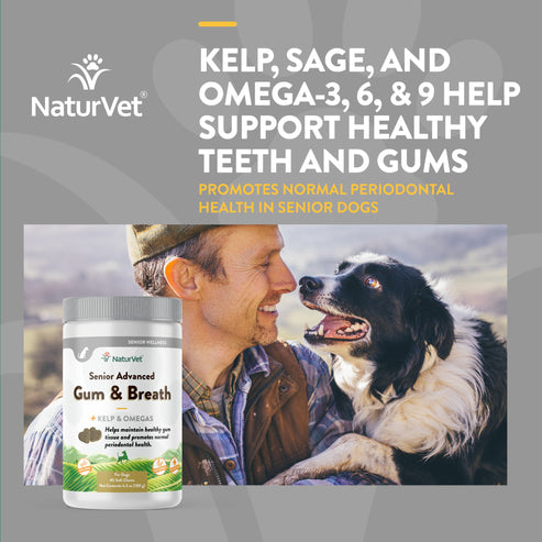 NaturVet Senior Advanced Gum and Breath Dog Soft Chews (45 Soft Chews)