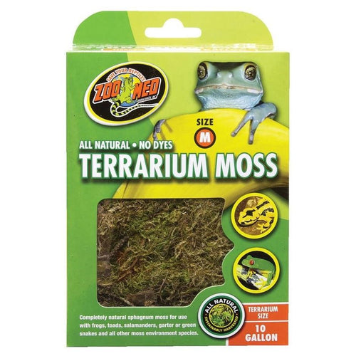 TERRARIUM MOSS